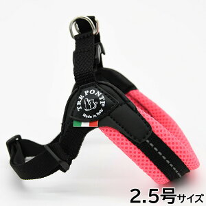 yX|Cgő43{I{Izg|eB TREPONTI tBbrA AWX^u^Cv \tgbV n[lX 2.5 sN