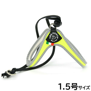 yő2000~OFFN[|I}\zg|eB TREPONTI x^ tI ^pn[lX 1.5 CG[