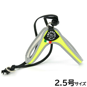 yő2000~OFFN[|I}\zg|eB TREPONTI x^ tI ^pn[lX 2.5 CG[