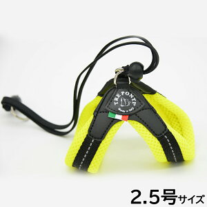 yő2000~OFFN[|I}\zg|eB TREPONTI x^ \tgbV ^pn[lX 2.5 CG[