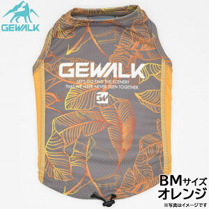 WEH[N GEWALK [t vg ANeBu N[O ^Ngbv BM IW