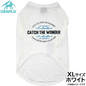 yX|Cgő46{I{IzWEH[N GEWALK Z^[ EF[u vg OtBbN TVc XL zCg  hbOEFA ybgEFA