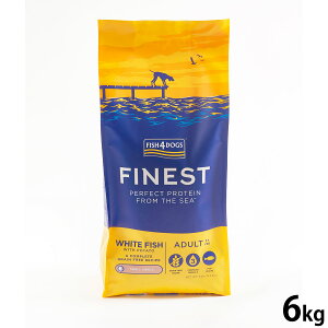 yX|Cgő44{I1130IztBbV4hbO FISH 4 DOGS hbOt[h t@ClXg I[VzCgtBbV 6kgyz Y hbOt[h p OCt[ 