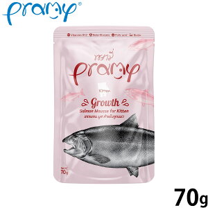 v~[ Pramy Lbgt[h EFbgt[h T[[XO[X Lg 70g Y OCt[ sgp pE` ʐH