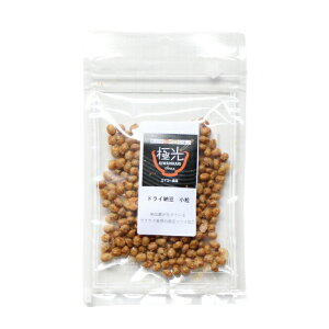 yGg[Ń|Cg+1{I{IzGCR[Hi ɌhC[ KIWAHIKARI  30g   育 gbsO Y Y F ۑsgp q[}O[h