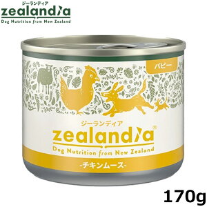 yő2000~OFFN[||Cg+5{zW[fBA hbOt[h ps[ `L[X qp 170g Y sgp OCt[ EFbg ʋl