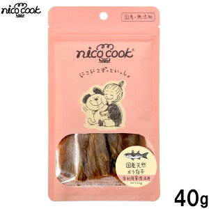 �y�X���|�C���g�ő�51�{�I�{������I�z�j�R�N�b�N nico cook �V�R�{�����q ���Y ���L���p����� 40g ���Y�� ���{�Y ���p �L�p �h�b�O�g���[�c �L���b�g�g���[�c �g���[�c