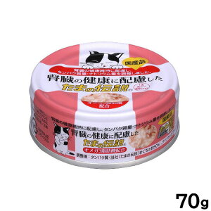 y2000~OFFN[|IX|Cgő55{I{IzťNɔz ܂̓` Lbgt[h 70g Y Y EGbgt[h L