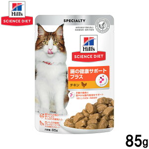 yX|Cgő46{I{IzqY TCGX_CGbg Lbgt[h Lp ̌NT|[gvX `L pE` 85g