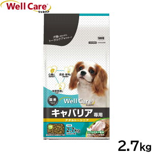 yX|Cgő44{I{IzEFPA hbOt[h LoAp A_g`VjA 2.7kg Y 