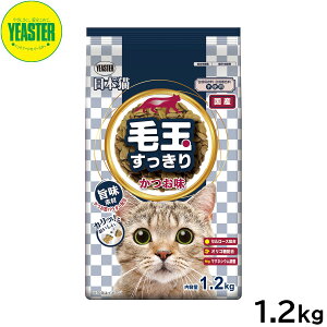 yX|Cgő44{I1130IzC[X^[ Lbgt[h {L ыʂ  1.2kg Y 