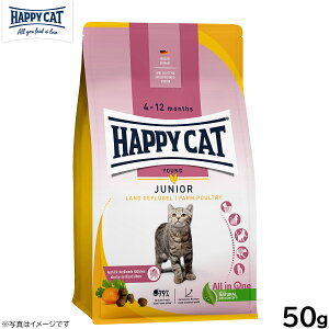 HAPPY CAT nbs[Lbg O WjA t@[ |g[i`Lj 50g