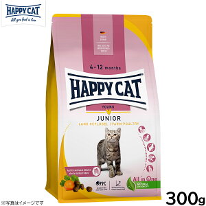 HAPPY CAT nbs[Lbg O WjA t@[ |g[i`Lj 300g
