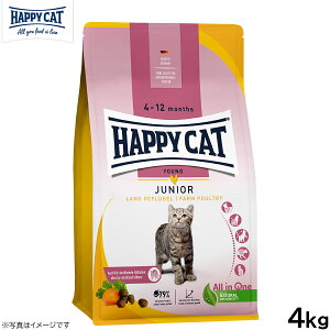 HAPPY CAT nbs[Lbg O WjA t@[ |g[i`Lj 4kgyz