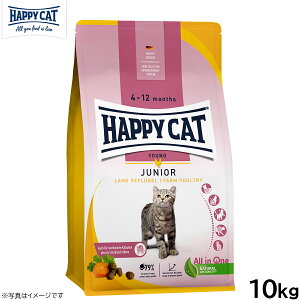 HAPPY CAT nbs[Lbg O WjA t@[ |g[i`Lj 10kgyz
