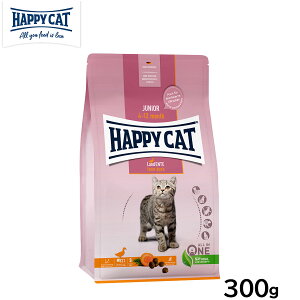 HAPPY CAT nbs[Lbg O WjA t@[ _bNi̊/sgpj 300g