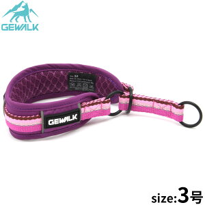 yX|Cgő46{I{IzWEH[N GEWALK n[t`[Niցj 3 p[v