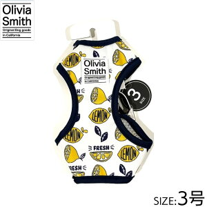 yX|Cgő46{I{IzIrAX~X xXgn[lX 3 tbV ^ 