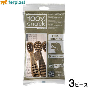 【エントリーでポイント+1倍!本日限定!】ファープラスト 犬用おやつ ベジタリアンデンタルスナック トゥースブラシ アスコフィラン M 3ピース デンタルガム デンタルケア 歯磨きガム