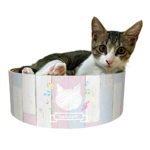 y12/5II100|CgobNő2000~OFFN[|zL oo{E qLp L ܂Ƃ ܂݂ _{[ 蔫