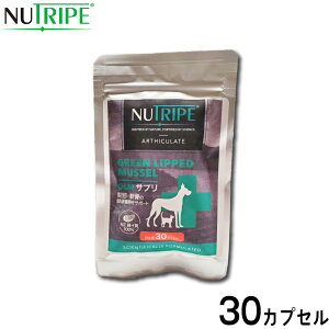 yő2000~OFFN[||Cg+5{zj[gCv Tvg GLMTv 30JvZ ORT~ RhC` ֐ ΃CL