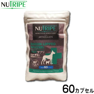 yX|Cgő43{I{Izj[gCv Tvg GLMTv 60JvZyz ORT~ RhC` ֐ ΃CL