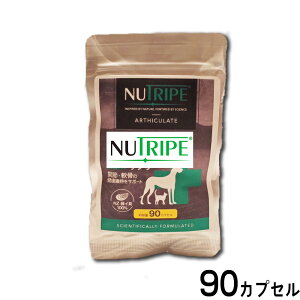 yő2000~OFFN[||Cg+5{zj[gCv Tvg GLMTv 90JvZyz ORT~ RhC` ֐ ΃CL