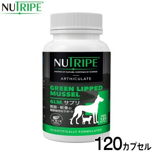 yX|Cgő43{I{Izj[gCv Tvg GLMTv 120JvZyz ORT~ RhC` ֐ ΃CL