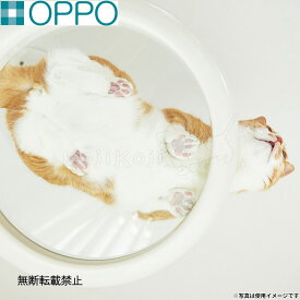 【店内ポイント最大54倍！本日限定！】OPPO オッポ キャットフォレスト2用オプション ClearShelf クリアシェルフ ホワイト キャットタワー キャットステップ