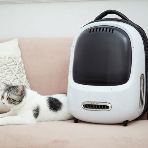 ybgLbg PETKIT X}[g LA u[W[ zCg  L ybgL[ bN n[h   Cg ł USBR[h