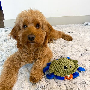 yX|Cgő43{I{Izg[ eCY TALL TAILS tbv gC Nu   ʂ  Jj drsgp TXeBiu