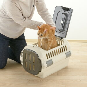 yGg[Ń|Cg+1{I{Izb`F Richell LsOL[t@C _uhA S AC{[  L  ybgL[ N[g nEX ^ ^ n[h 