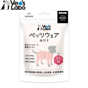 xbc{ p xbcEFA p㕞 畆ی앞 t ̎qp M sNyz GUxXJ[  p