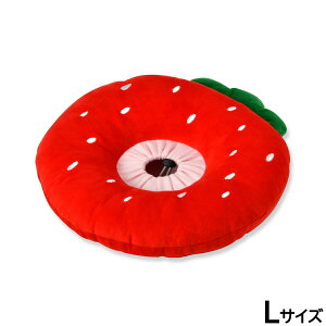 yX|Cgő43{I{IzSolgra  y[uJ[NbV L bh GUxXJ[  L \tg _炩