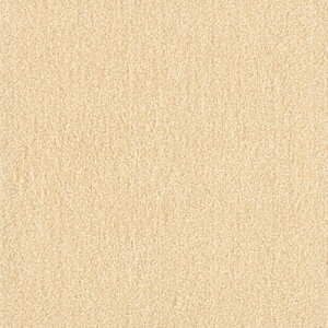 yX|Cgő42{I111IzbN EBYybgtA WPF02 N[ 1