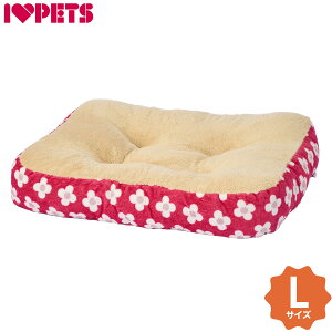 y1310Iő5000ptobNő2000~OFFN[|Iz{rAR XNGANbV L t[bhyz tbgxbh XNGAxbh g