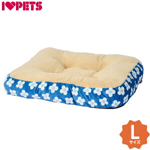 y1310Iő5000ptobNő2000~OFFN[|Iz{rAR XNGANbV L t[u[yz tbgxbh XNGAxbh g