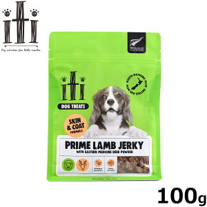 yX|Cgő42{I111IzitiiCeBj g[c W[L[ 畆 уPA 100g Y @\ XLPA VR i` Tvgz