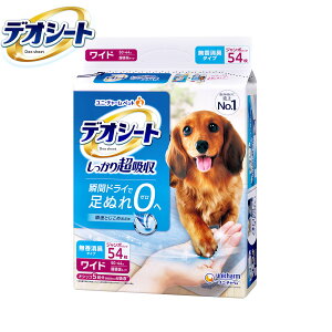 y12/5II100|CgobNő2000~OFFN[|zj `[ fIV[g 蒴z L^Cv Ch 54 ybgV[c gCV[c p