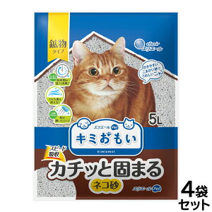 yX|Cgő46{I{IzGG[ L~ J`bƌł܂ lR 5L×4܁yz