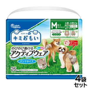 yX|Cgő46{I{IzGG[ L~ ANeBuEFA M-L 26×4܁yz