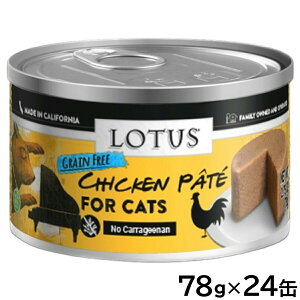 [^X Lbgt[h OCt[ EFbgt[h `Lpe 78g×24ʃZbgyz Y ʋl