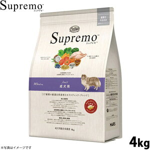 yGg[Ń|Cg+2{I{Izj[g Vv hbOt[h p A_g 4kg NUTOR hbOt[h Y  pi ybgpi [SP-AD]