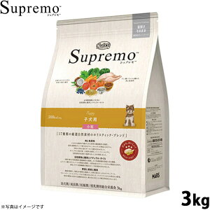 yX|Cgő42{I111Izj[g Vv hbOt[h S qp  3kg NUTOR hbOt[h Y  pi ybgpi ͂ v~A i` [SP-PP]