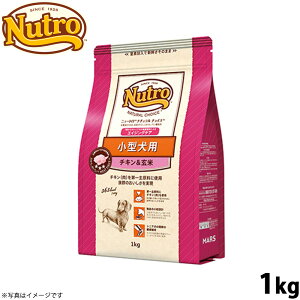 yX|Cgő46{I{Izj[g i``CX hbOt[h ^ GCWOPA `L 1kg VjA  Y pi//ybgObY [NC-SE]