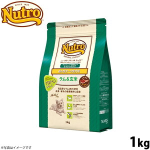 yX|Cgő46{I{Izj[g i``CX hbOt[h  ^`^ GCWOPA 1kg VjA  Y  ybgObY [NC-SE]