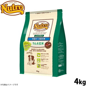 yX|Cgő46{I{Izj[g i``CX hbOt[h  ^`^ GCWOPA 4kg Y VjA v~A pi ybgObY [NC-SE]