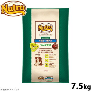 yX|Cgő43{I{Izj[g i``CX hbOt[h  ^`^ GCWOPA 7.5kg Y  [NC-SE]