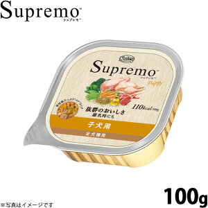 yX|Cgő42{I111Izj[g Vv J[PA qp 100g NUTOR hbOt[h EFbg Y  pi ybgpi ͂ v~A i`