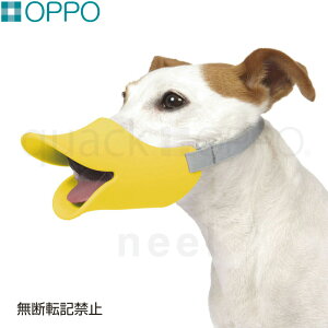 OPPO quackiNAbNj LTCY pi ցi݂ ʖih~j/GUxXJ[